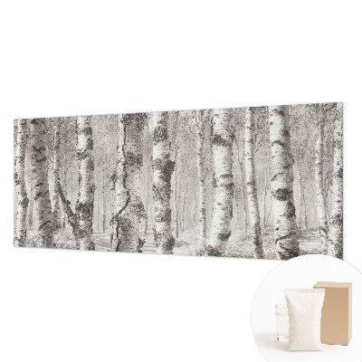 Premium fototapeta s motivom brezove šume