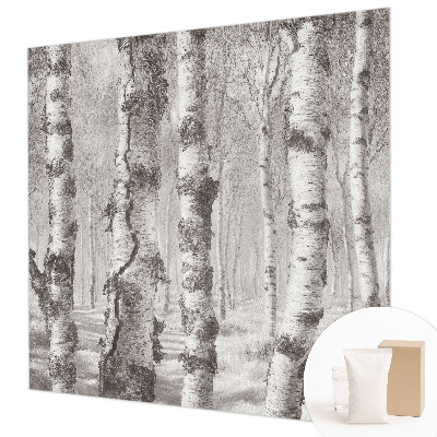 Premium fototapeta s motivom brezove šume