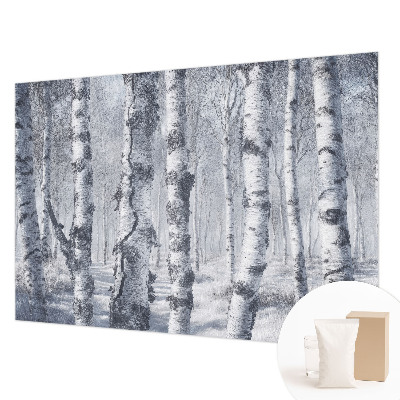 Visokokvalitetna fototapeta Mrazna priroda