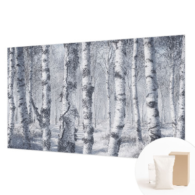 Visokokvalitetna fototapeta Mrazna priroda