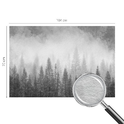 Zidna fototapeta Šumska magla