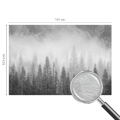 Zidna fototapeta Šumska magla