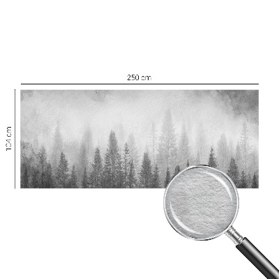 Zidna fototapeta Šumska magla