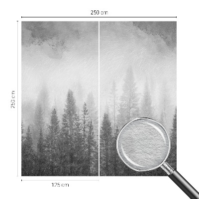 Zidna fototapeta Šumska magla