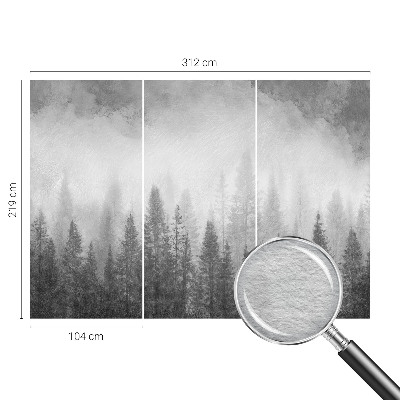 Zidna fototapeta Šumska magla