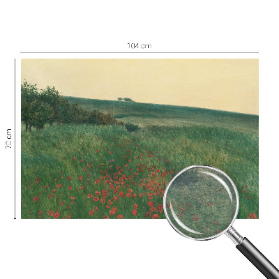 Foto tapeta za dnevni boravak Polja maka