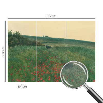 Foto tapeta za dnevni boravak Polja maka
