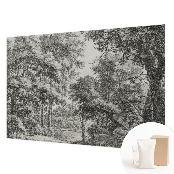 Fototapeta s tiskom Šumski krajolik