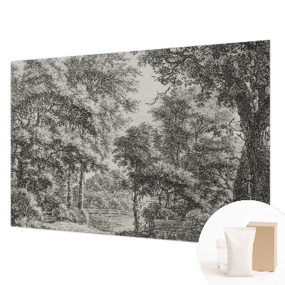 Fototapeta s tiskom s motivom šumskog krajolika