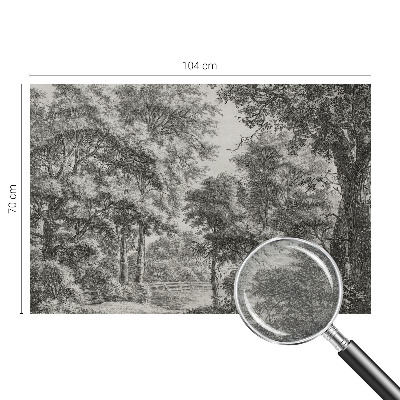 Fototapeta s tiskom Šumski krajolik