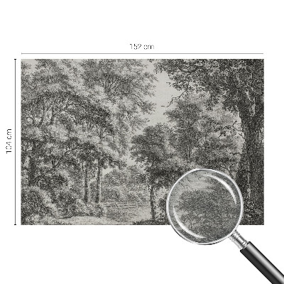 Fototapeta s tiskom Šumski krajolik