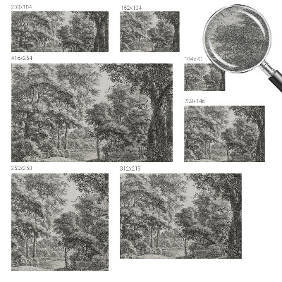 Fototapeta s tiskom Šumski krajolik