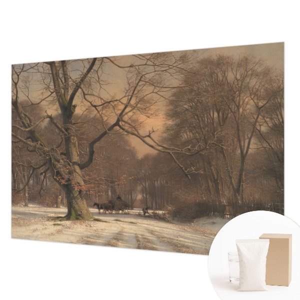 Fototapeta po mjeri s motivom zimskog krajolika