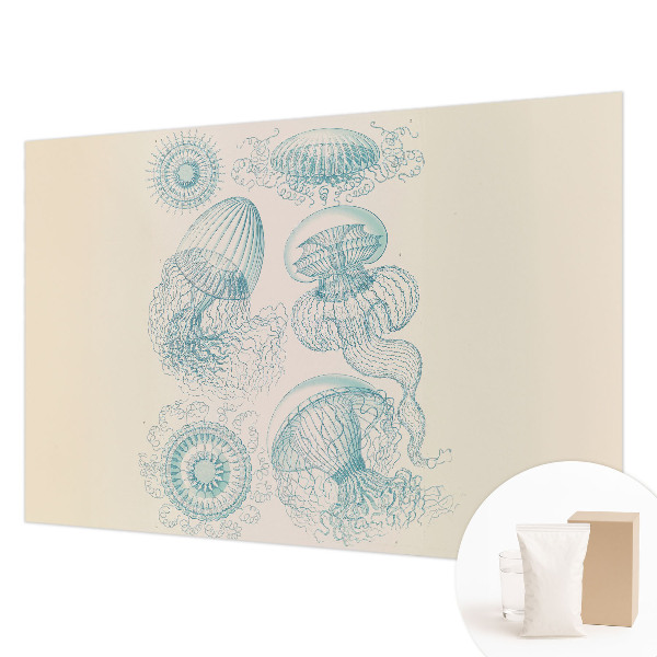 Moderna fototapeta Morska meduza