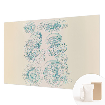 Moderna fototapeta Morska meduza
