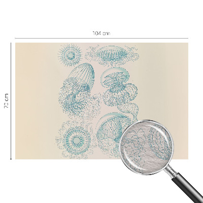 Moderna fototapeta Morska meduza