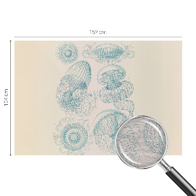 Moderna fototapeta Morska meduza