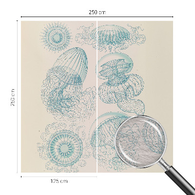 Moderna fototapeta Morska meduza