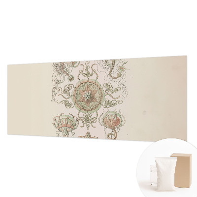 Premium fototapeta s motivom podvodnog svijeta