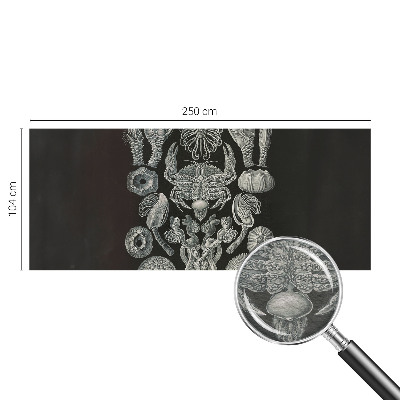 Fototapeta s tiskom Podvodni oblici