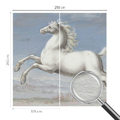 Fototapeta za dnevni boravak Konji u preskoku
