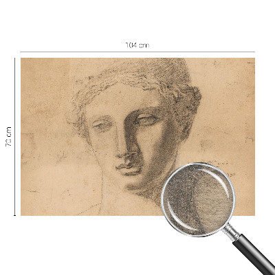 Flis fototapeta Ženski portret
