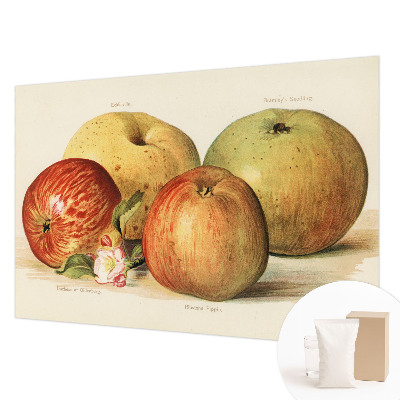 Foto tapeta za dnevni boravak s motivom cvjetova jabuke