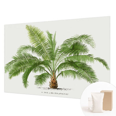 Fototapeta po mjeri sa sjajnim motivom palme