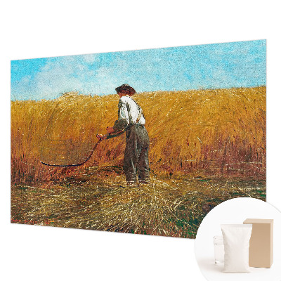 Fototapeta za spavaću sobu Žetva na suncu