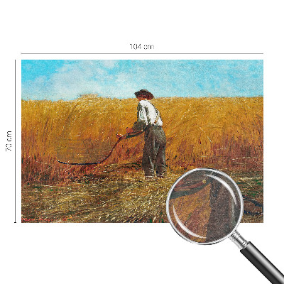 Fototapeta za spavaću sobu Žetva na suncu
