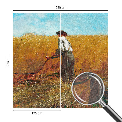 Fototapeta za spavaću sobu Žetva na suncu