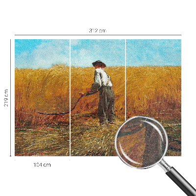 Fototapeta za spavaću sobu Žetva na suncu