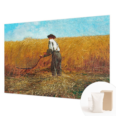 Fototapeta za spavaću sobu Žetva na suncu