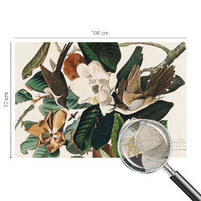 Zidna foto tapeta s motivom ptica i magnolije