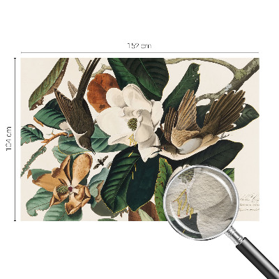 Zidna foto tapeta s motivom ptica i magnolije