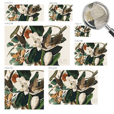 Zidna foto tapeta s motivom ptica i magnolije