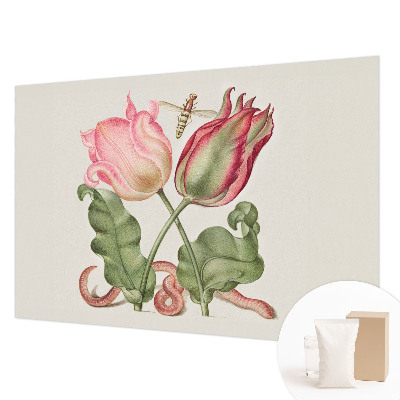 Moderna fototapeta s motivom tulipana