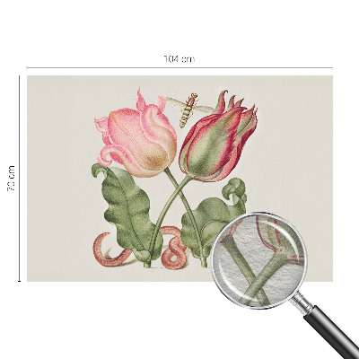 Moderna fototapeta Ljepota tulipana