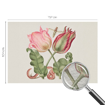 Moderna fototapeta Ljepota tulipana