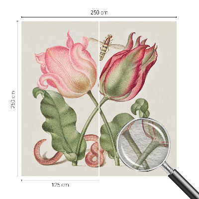Moderna fototapeta Ljepota tulipana
