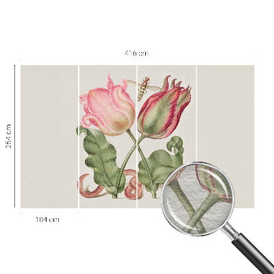 Moderna fototapeta Ljepota tulipana