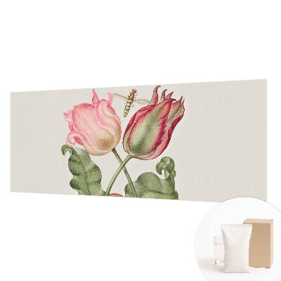 Moderna fototapeta Ljepota tulipana