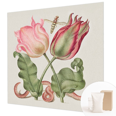 Moderna fototapeta Ljepota tulipana