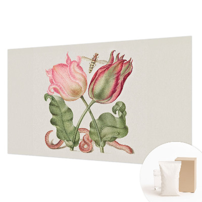 Moderna fototapeta Ljepota tulipana