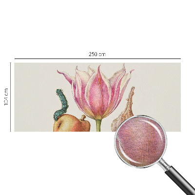 Vlies fototapeta Prirodna simbioza