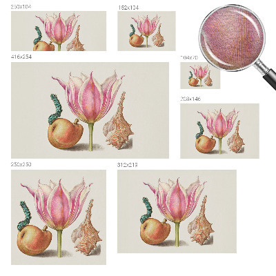 Vlies fototapeta Prirodna simbioza