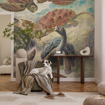Foto tapeta za spavaću sobu Fauna kornjača
