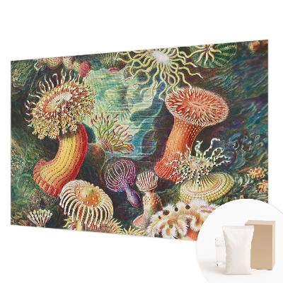 Vlies fototapeta za dječju sobu Otmjene anemone
