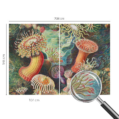 Vlies fototapeta za dječju sobu Otmjene anemone