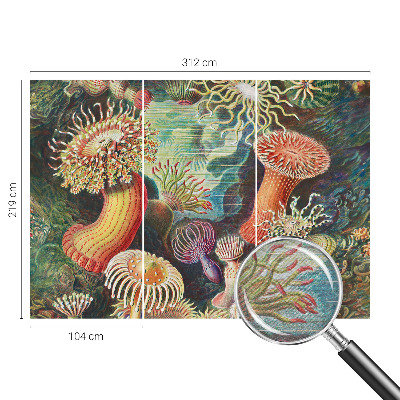 Vlies fototapeta za dječju sobu Otmjene anemone
